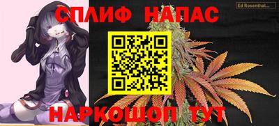 стаф Дмитров
