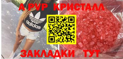 стаф Дмитров