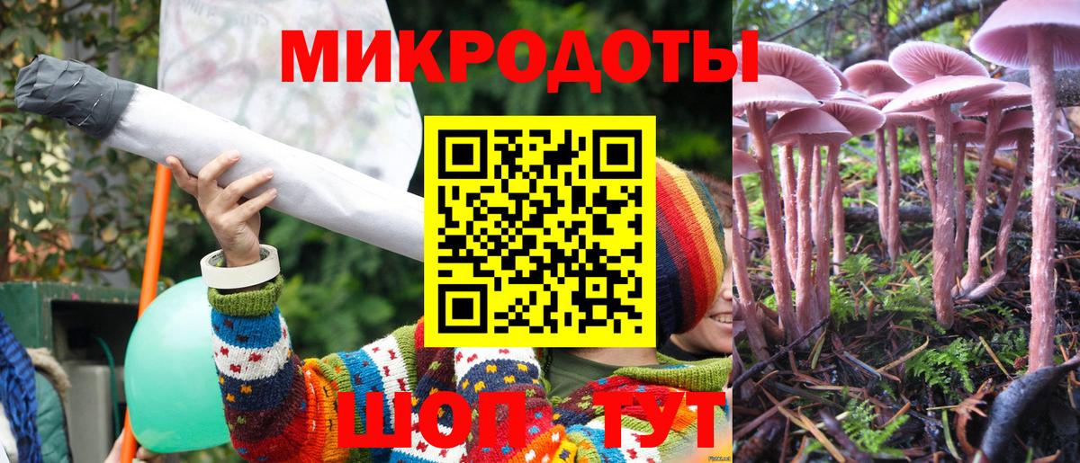 Ревда  Псилоцибиновые грибы мицелий  Вход с VPN 